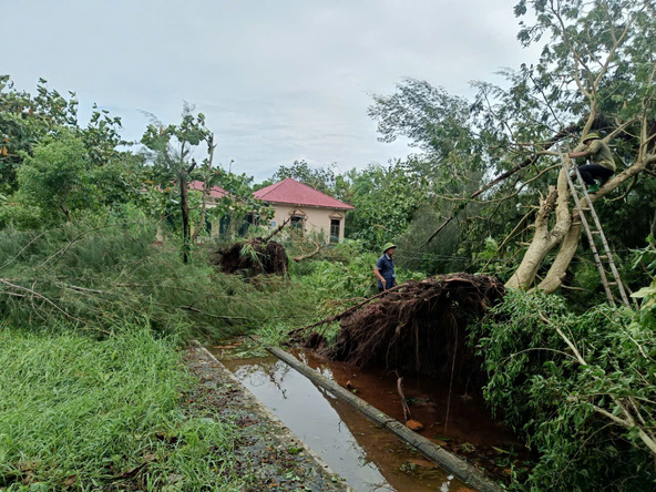 VQG Xuân Thủy tổ chức khắc phục hậu quả sau cơn bão số 3 (bão Yagi) 