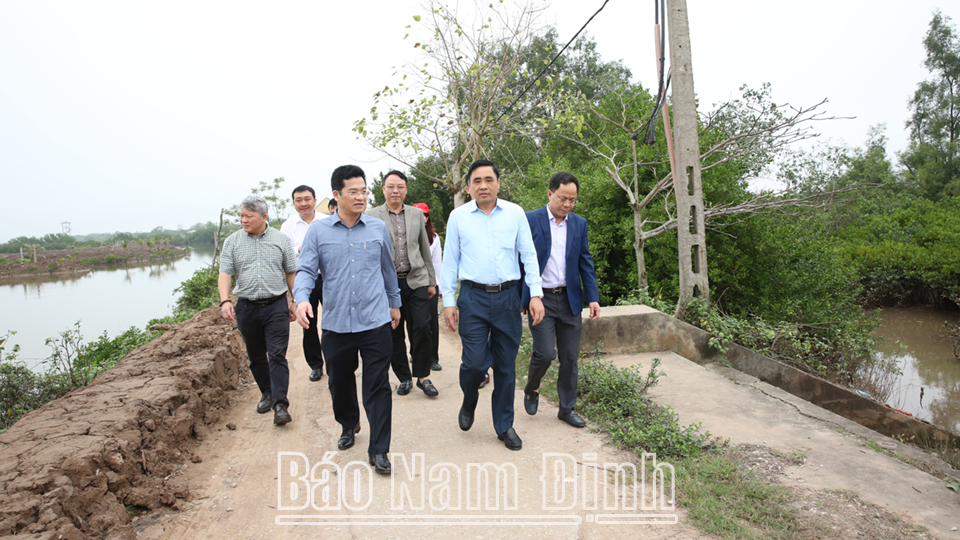 Các đồng chí: Nguyễn Quốc Trị, Thứ trưởng Bộ Nông nghiệp và Môi trường; Trần Anh Dũng, Ủy viên Ban TVTU, Phó Chủ tịch Thường trực UBND tỉnh khảo sát một số khu vực tại VQG Xuân Thủy. D
