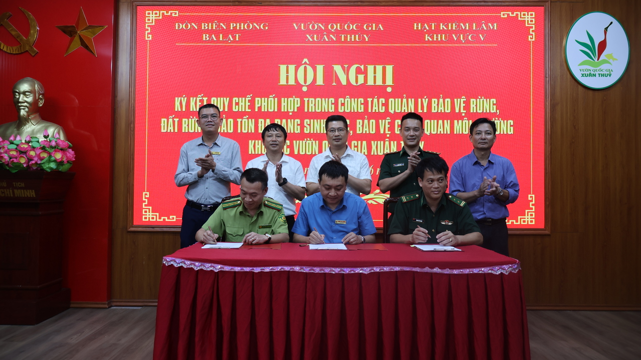 tin tức